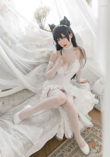 千金女贼电视剧全集免费观看